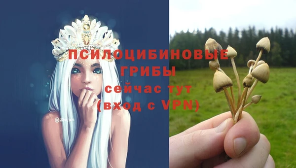 не бодяженный Армянск