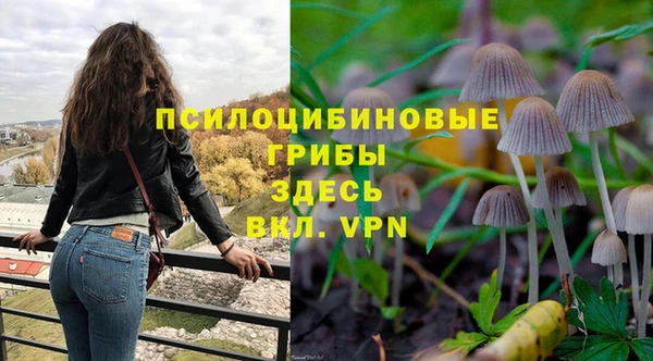 ГАЛЛЮЦИНОГЕННЫЕ ГРИБЫ Арсеньев