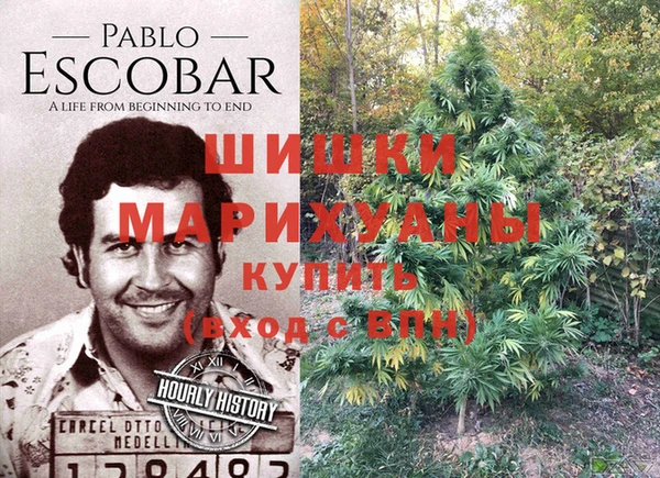 a pvp Гусиноозёрск