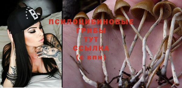 не бодяженный Армянск