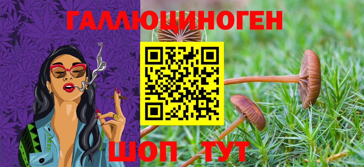 Галлюциногенные грибы Psilocybine cubensis  Вход с VPN  наркотики  Псилоцибиновые грибы MAGIC MUSHROOMS  Нововоронеж 
