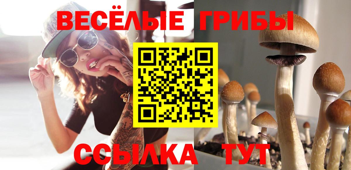 Галлюциногенные грибы мицелий Нововоронеж